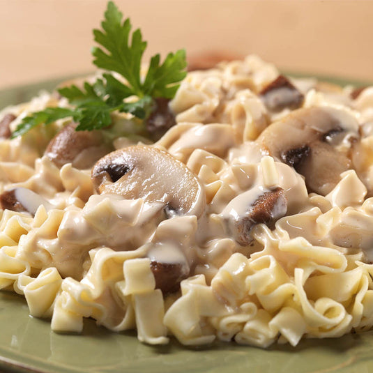 MountainHouse / Beef Stroganoff - Pouch