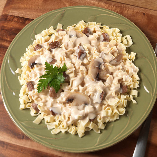 MountainHouse / Beef Stroganoff - Pouch