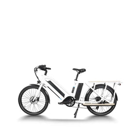 GREEN PEDEL / 24 Inch Step-Through Cargo Commute E-Bike