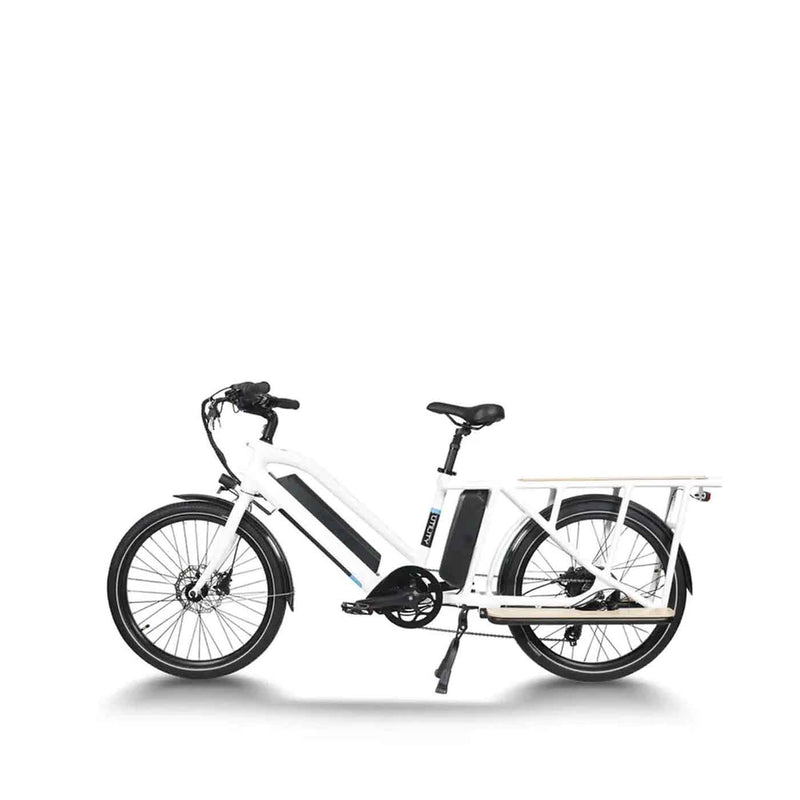 Load image into Gallery viewer, GREEN PEDEL / 24 Inch Step-Through Cargo Commute E-Bike
