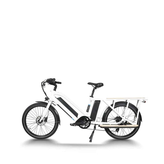 GREEN PEDEL / 24 Inch Step-Through Cargo Commute E-Bike