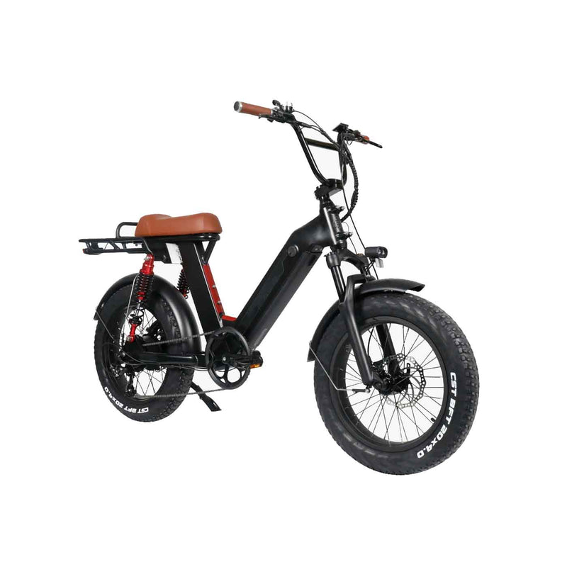 Load image into Gallery viewer, GREEN PEDEL / 20 Inch All Terrain Fat Tire E-Bike (Black)
