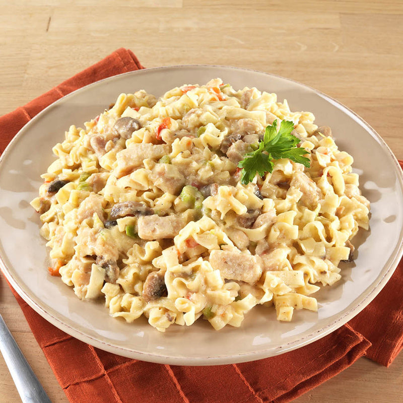 Load image into Gallery viewer, MountainHouse / Homestyle Chicken Noodle Casserole - Pouch
