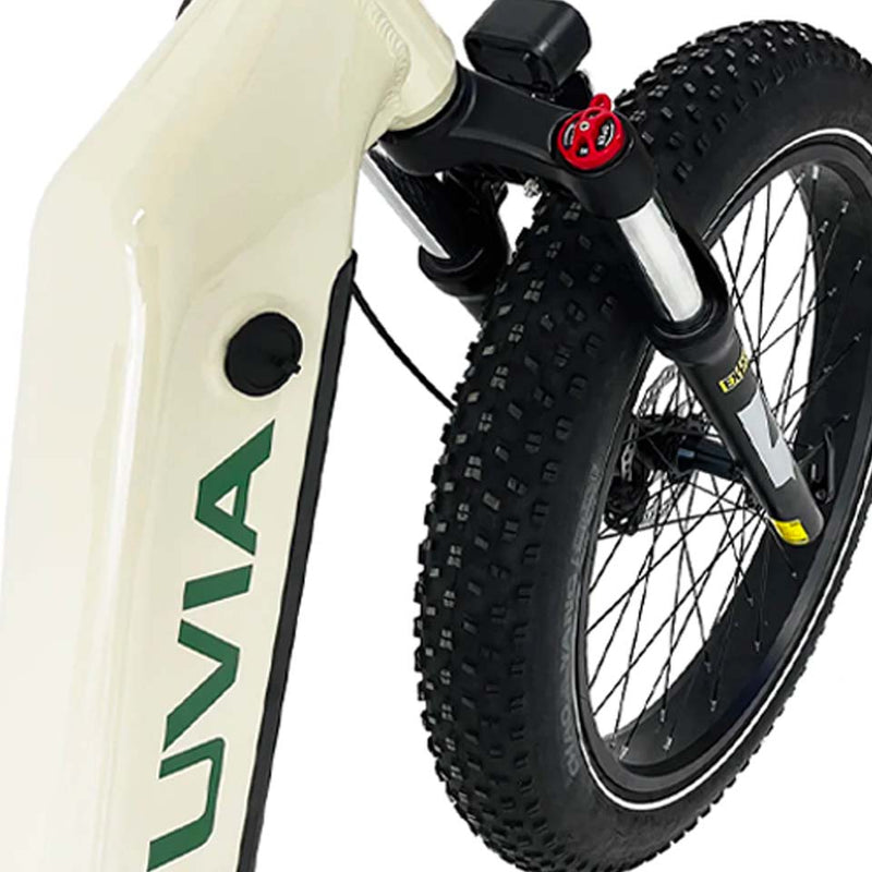 Load image into Gallery viewer, VTUVIA / Reindeer 26 Inch Step-Thru Fat Tire E-Bike
