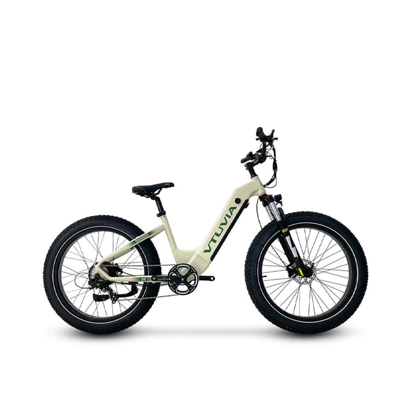 Load image into Gallery viewer, VTUVIA / Reindeer 26 Inch Step-Thru Fat Tire E-Bike
