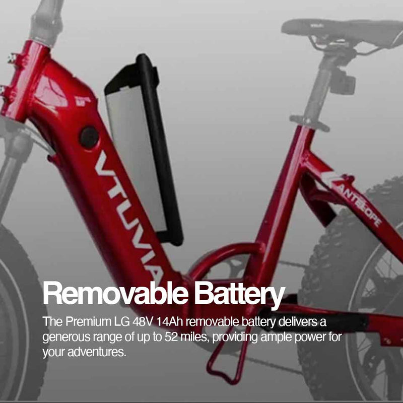 Load image into Gallery viewer, VTUVIA / SX20 Antelope Step-Thru Folding E-Bike
